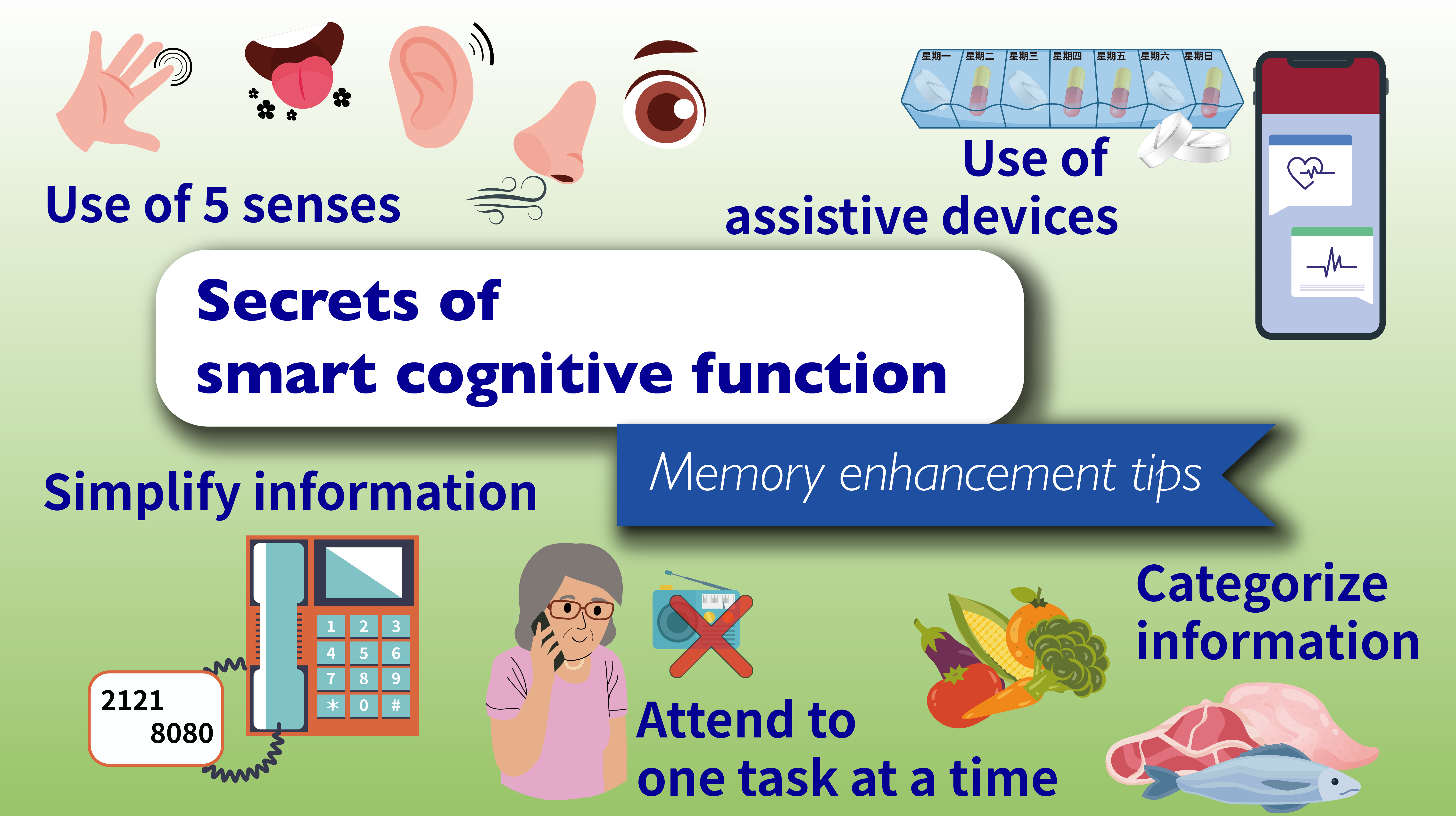 Secrets of smart cognitive function